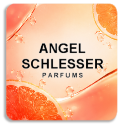 Angel Schlesser