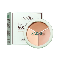 Консилер для лица SADOER Naturally Good Skin Oil Control 3в1 10.5 г